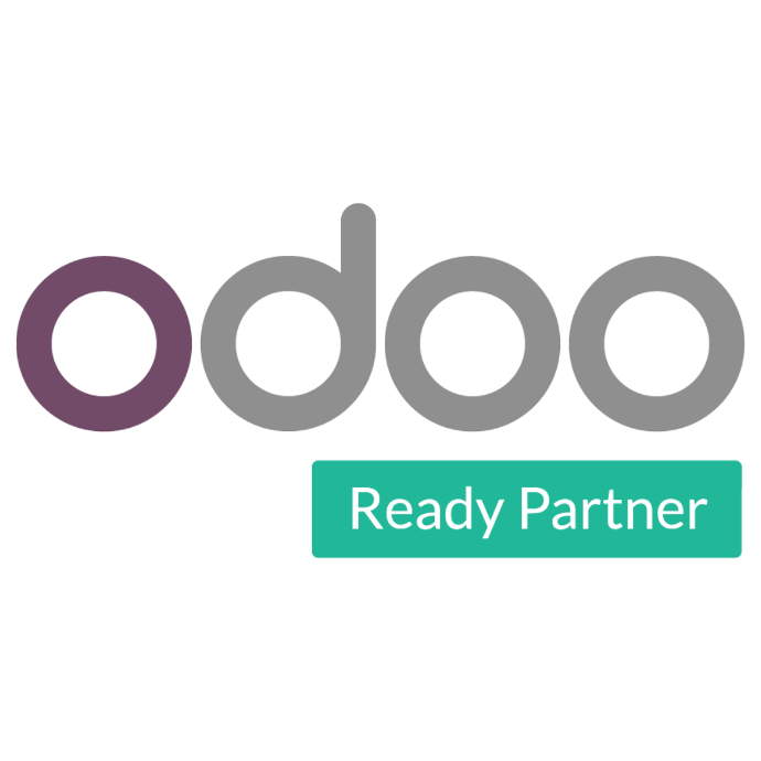 Odoo Partner Logo